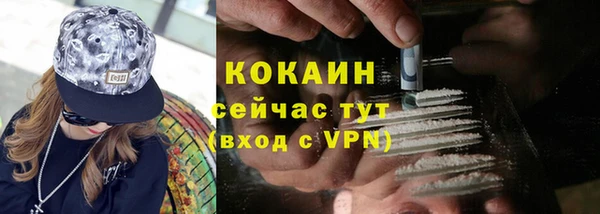 прущая мука Инта