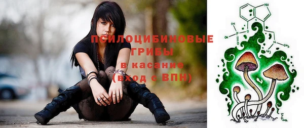 молекула духа Зерноград