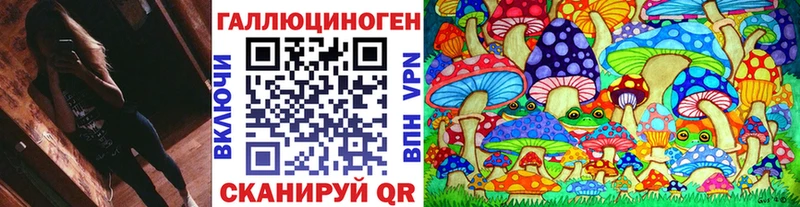 Псилоцибиновые грибы Psilocybine cubensis  Купить  Полярный 